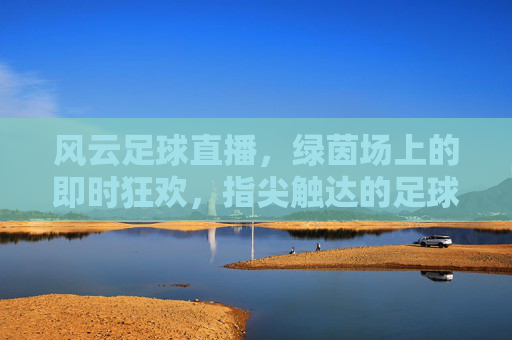 风云足球直播,绿茵场上的即时狂欢,指尖触达的足球热力,风云足球直播,绿茵场上的即时狂欢,指尖触达的足球热力