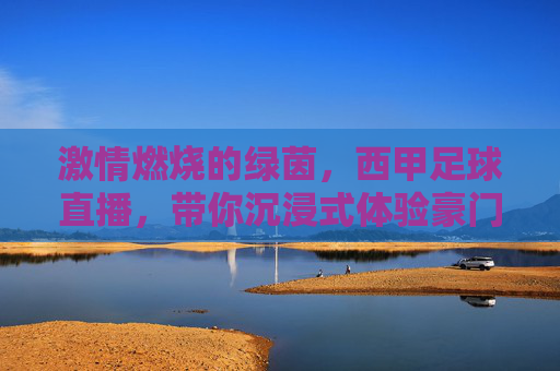 激情燃烧的绿茵，西甲足球直播，带你沉浸式体验豪门对决的每一个精彩瞬间，激情燃烧的绿茵，西甲足球直播，沉浸式体验豪门对决的每一个精彩瞬间