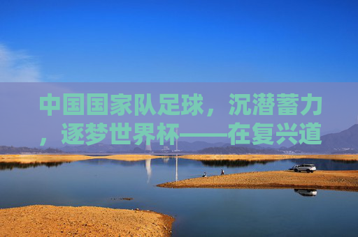 中国国家队足球,沉潜蓄力,逐梦世界杯——在复兴道路上砥砺前行,中国国家队足球,沉潜蓄力,逐梦世界杯——在复兴道路上砥砺前行
