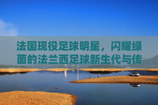 法国现役足球明星,闪耀绿茵的法兰西足球新生代与传承力量,法国现役足球明星,闪耀绿茵的法兰西足球新生代与传承力量