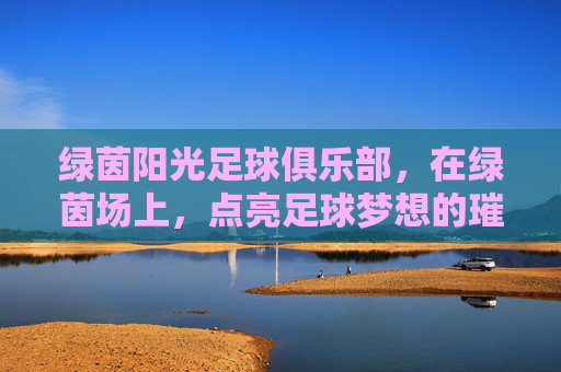绿茵阳光足球俱乐部,在绿茵场上,点亮足球梦想的璀璨星河,绿茵阳光足球俱乐部,在绿茵场上点亮足球梦想的璀璨星河
