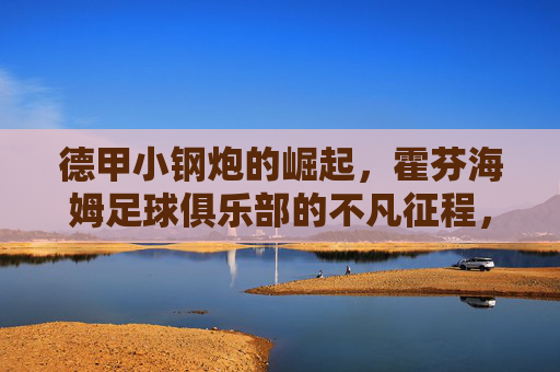 德甲小钢炮的崛起,霍芬海姆足球俱乐部的不凡征程,德甲小钢炮的崛起,霍芬海姆俱乐部的不凡征程