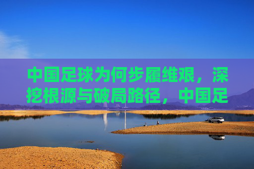 中国足球为何步履维艰,深挖根源与破局路径,中国足球步履维艰,深挖根源与破局路径