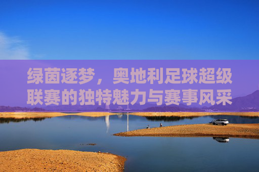 绿茵逐梦，奥地利足球超级联赛的独特魅力与赛事风采，绿茵逐梦，奥地利足球超级联赛的独特魅力与赛事风采