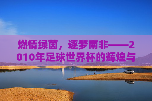 燃情绿茵,逐梦南非——2010年足球世界杯的辉煌与记忆