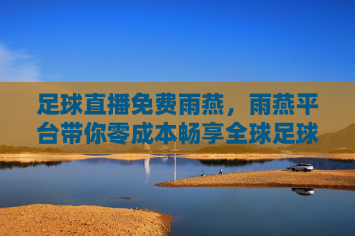 足球直播免费雨燕，雨燕平台带你零成本畅享全球足球盛宴，雨燕平台，免费足球直播，零成本畅享全球足球盛宴