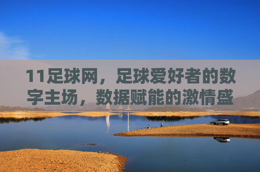 11足球网,足球爱好者的数字主场,数据赋能的激情盛宴