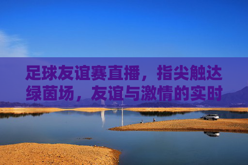 足球友谊赛直播,指尖触达绿茵场,友谊与激情的实时共鸣