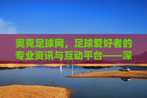 奥克足球网，足球爱好者的专业资讯与互动平台——深度解析与价值体现
