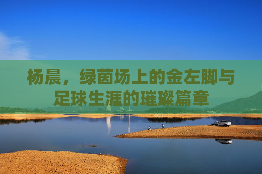 杨晨,绿茵场上的金左脚与足球生涯的璀璨篇章