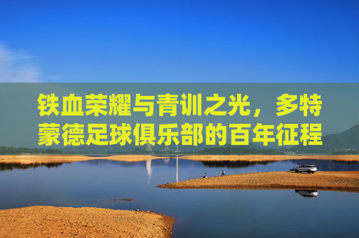铁血荣耀与青训之光,多特蒙德足球俱乐部的百年征程与当代传奇