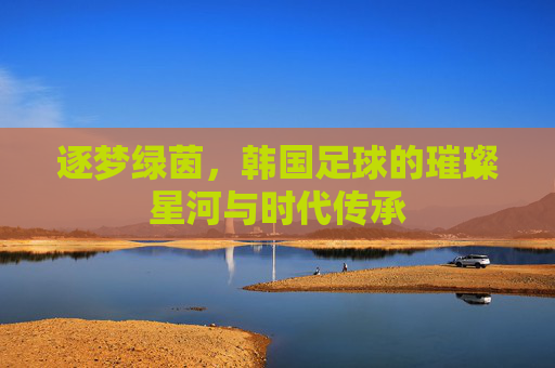 逐梦绿茵,韩国足球的璀璨星河与时代传承