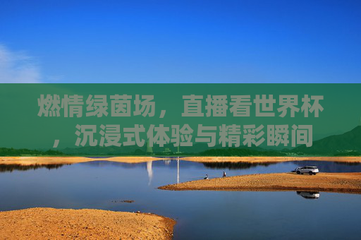 燃情绿茵场,直播看世界杯,沉浸式体验与精彩瞬间