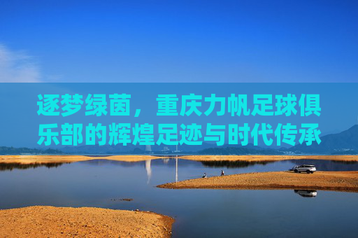 逐梦绿茵，重庆力帆足球俱乐部的辉煌足迹与时代传承
