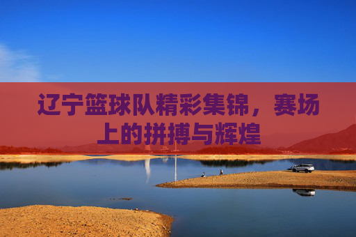 辽宁篮球队精彩集锦，赛场上的拼搏与辉煌