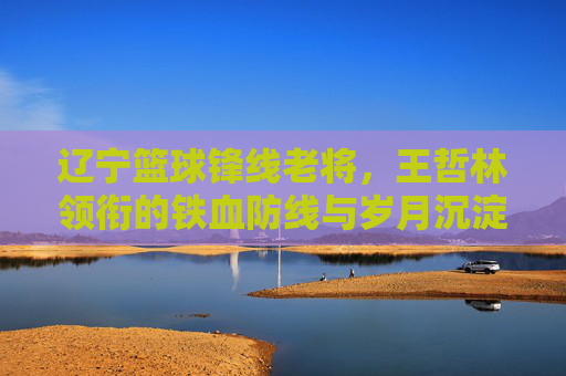 辽宁篮球锋线老将,王哲林领衔的铁血防线与岁月沉淀的传奇