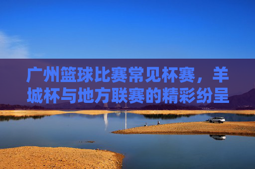 广州篮球比赛常见杯赛，羊城杯与地方联赛的精彩纷呈，广州篮球常见杯赛，羊城杯与地方联赛的精彩纷呈