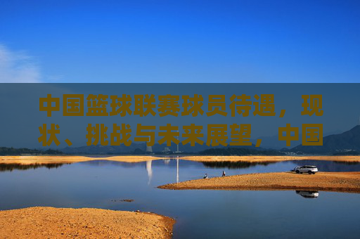 中国篮球联赛球员待遇，现状、挑战与未来展望，中国篮球联赛球员待遇，现状、挑战与未来展望