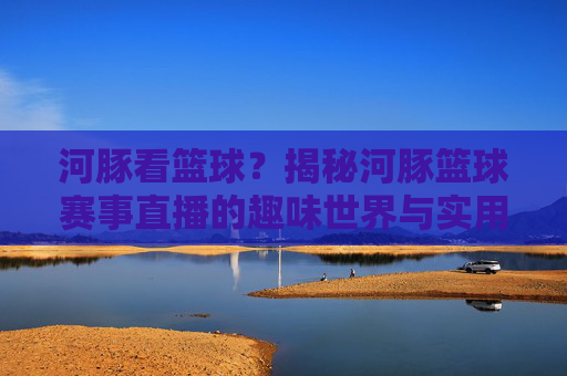河豚看篮球?揭秘河豚篮球赛事直播的趣味世界与实用指南