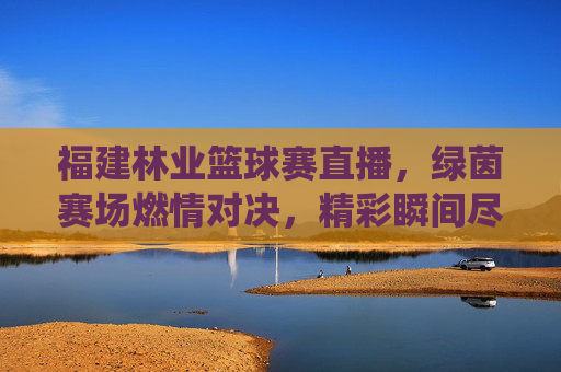 福建林业篮球赛直播,绿茵赛场燃情对决,精彩瞬间尽在镜头前——聚焦林业系统篮球赛事的线上狂欢