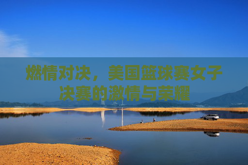 燃情对决,美国篮球赛女子决赛的激情与荣耀