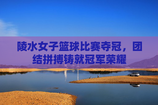 陵水女子篮球比赛夺冠，团结拼搏铸就冠军荣耀