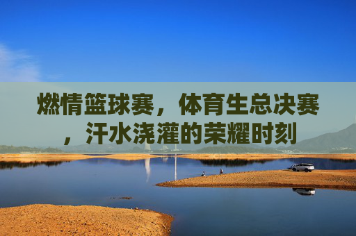 燃情篮球赛,体育生总决赛,汗水浇灌的荣耀时刻