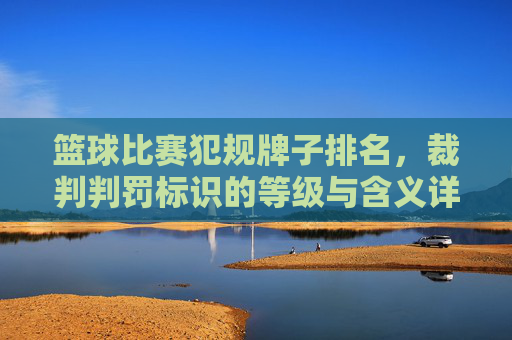 篮球比赛犯规牌子排名,裁判判罚标识的等级与含义详解,篮球比赛犯规牌子排名,裁判判罚标识的等级与含义详解