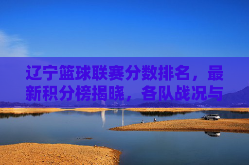 辽宁篮球联赛分数排名,最新积分榜揭晓,各队战况与竞争格局分析,辽宁篮球联赛最新积分榜,各队分数排名与战况竞争格局分析
