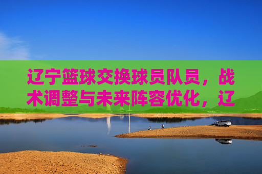 辽宁篮球交换球员队员,战术调整与未来阵容优化,辽宁篮球球员交换,战术调整与未来阵容优化