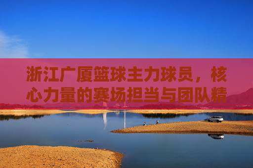 浙江广厦篮球主力球员,核心力量的赛场担当与团队精神的传承