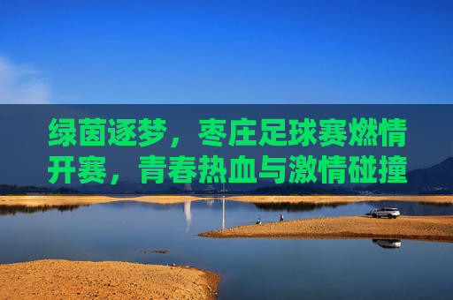 绿茵逐梦，枣庄足球赛燃情开赛，青春热血与激情碰撞的精彩瞬间