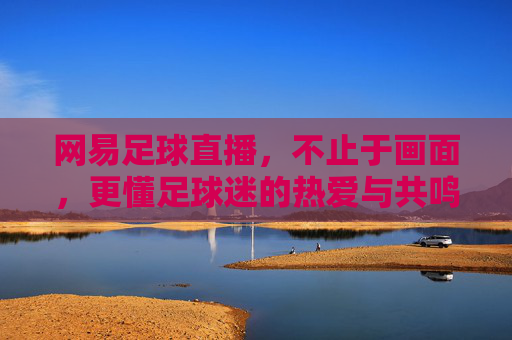 网易足球直播,不止于画面,更懂足球迷的热爱与共鸣