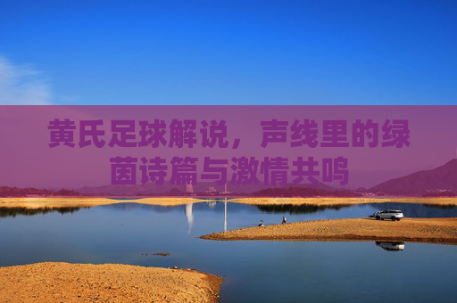 黄氏足球解说,声线里的绿茵诗篇与激情共鸣