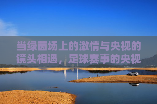 当绿茵场上的激情与央视的镜头相遇,足球赛事的央视转播魅力与时代印记