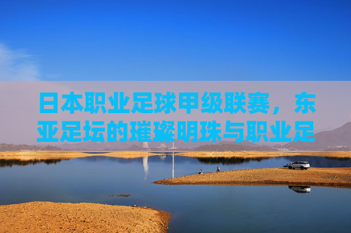 日本职业足球甲级联赛,东亚足坛的璀璨明珠与职业足球成熟发展的标杆,日本职业足球甲级联赛,东亚足坛的璀璨明珠与职业足球成熟发展的标杆