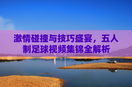 激情碰撞与技巧盛宴,五人制足球视频集锦全解析
