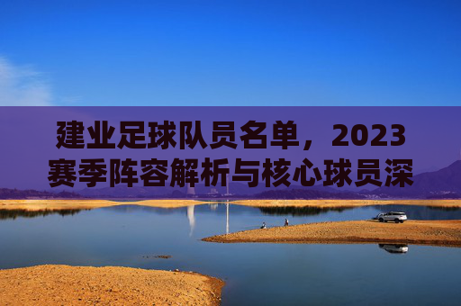 建业足球队员名单,2023赛季阵容解析与核心球员深度剖析,2023赛季建业足球队员名单,阵容解析与核心球员深度剖析