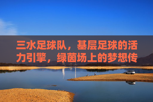 三水足球队,基层足球的活力引擎,绿茵场上的梦想传承,三水足球队,基层足球的活力引擎,绿茵场上的梦想传承