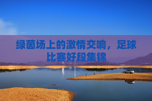 绿茵场上的激情交响,足球比赛好段集锦
