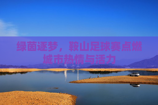 绿茵逐梦，鞍山足球赛点燃城市热情与活力