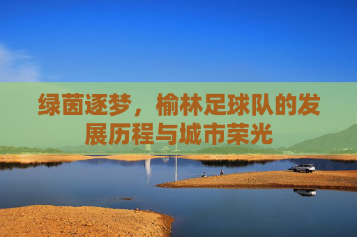 绿茵逐梦,榆林足球队的发展历程与城市荣光