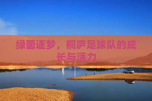 绿茵逐梦,桐庐足球队的成长与活力