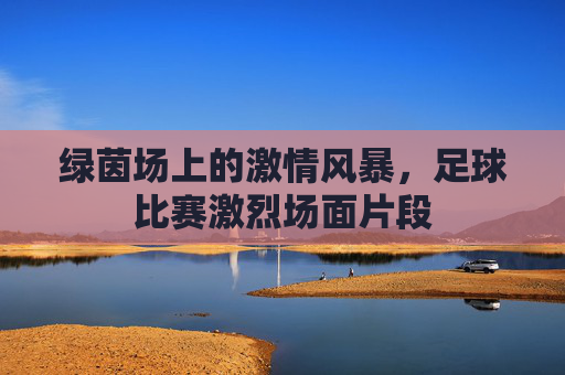 绿茵场上的激情风暴,足球比赛激烈场面片段