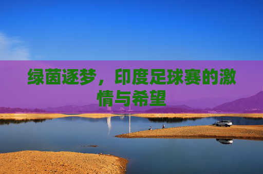 绿茵逐梦,印度足球赛的激情与希望