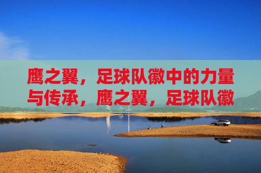 鹰之翼,足球队徽中的力量与传承,鹰之翼,足球队徽中的力量与传承