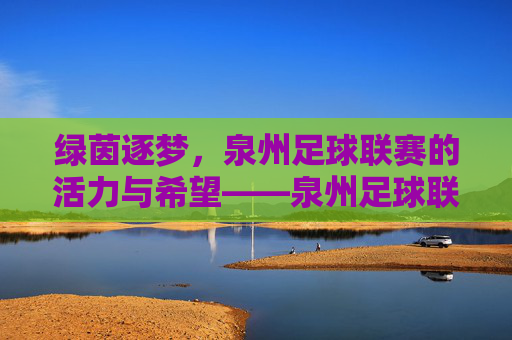绿茵逐梦,泉州足球联赛的活力与希望——泉州足球联赛的青春图景