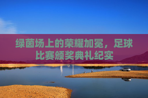 绿茵场上的荣耀加冕,足球比赛颁奖典礼纪实