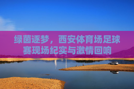 绿茵逐梦，西安体育场足球赛现场纪实与激情回响