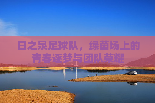日之泉足球队,绿茵场上的青春逐梦与团队荣耀